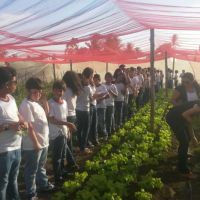 Alunos do sexto ano do Colégio Mundial, visitam o Perímetro Irrigado Piauí2