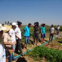 Participantes da Caravana visitam lotes irrigados do Perímetro Piauí - Foto AFPNCL
