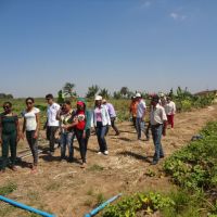 Participantes da Caravana visitam lotes irrigados do Perímetro Piauí - Foto AFPNCL