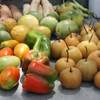 Irrigação pública somada à tecnologia no campo