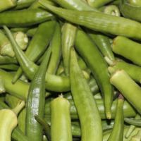 O Quiabo é das culturas mais praticadas via irrigação pública estadual 18350 toneladas em 2015