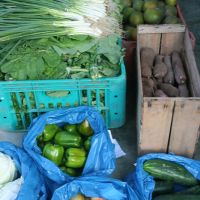 As doações do PAA são compostas por grande variedade de alimentos - Shirley Rocha