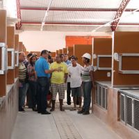 Serão 298 Boxes para Hortifruti que possuem balcões, lavatórios, prateleiras expositoras...