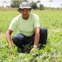 Acordo ratifica acompanhamento ao produtor após financiamento - José Jenaldo Oliveira