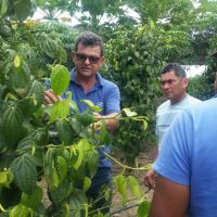 Rivaldo Lima França explicou aos agricultores tratos culturais da planta