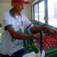 Produtor José Luiz dos Santos - Foto APM-Cultiva