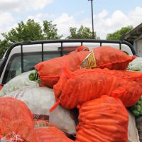 Na Ribeira foram entregues quase 13 toneladas de alimentos para doação às entidades beneficentes2