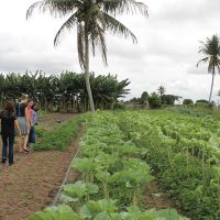 Visita à horta irrigada de Tal