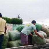 A quantidade que cada entidade arrecada varia conforme o público que atenda - arquivo Gildo Almeida- Foto - acervo Gildo Almeida