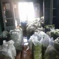 Entrega às entidades socioassistenciais - Foto: arquivo Gildo Almeida