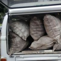 Entrega às entidades socioassistenciais - Foto: arquivo Gildo Almeida