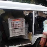 Entrega às entidades socioassistenciais - Foto: arquivo Gildo Almeida