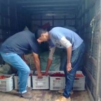 Entrega às entidades socioassistenciais - Foto: arquivo Gildo Almeida