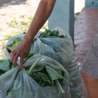 Variedade e quantidade de alimentos a serem entregues às doações, são escolhidas levando em conta uma dieta alimentar diária - Fotos: Ascom/Cohidro