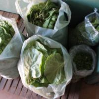 A qualidade dos alimentos entregues pelos produtores tem surpreendido as entidades receptoras - Fotos: Ascom/Cohidro