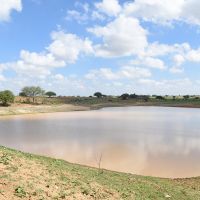 Foto: Marcelle Cristinne/ASN