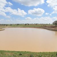 Foto: Marcelle Cristinne/ASN