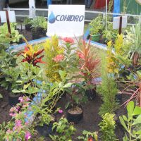 Estande da Cohidro tem canteiros expondo os cultivos do Perímetro Irrigado Piauí - foto Ascom-Cohidro