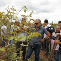 Foto Fernando Augusto (Ascom-Cohidro)