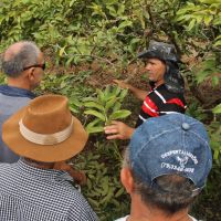 Foto Fernando Augusto (Ascom-Cohidro)