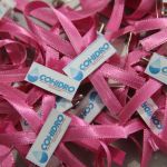 Fotos Michaelle Santiago (Ascom/Cohidro)