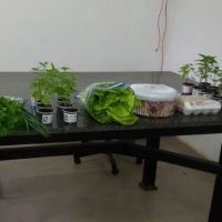 a variedade de produtos que a Bio5 já produz e ainda pretende produzir