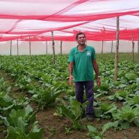 João Pacheco recentemente inovou na produção orgânica - cultivo protegido de insetos e raios UV