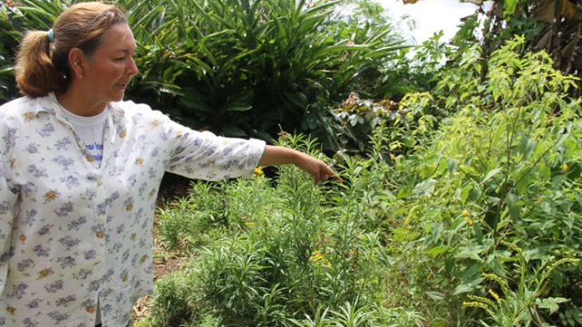 Meirinha toma conta da área verde e aplica a camacitação aos alunos do Curso de Extensão