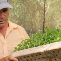 O cuidado com as plantas, desde às mudas, virou o cotidiano de Levi Alves