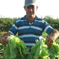 Produtor Levi Alves (Sidrack) é referência na diversidade de espécies cultivadas - Foto Adrea Santtos (Cohidro-Califórnia)