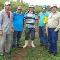 Sidrack e os técnicos da Cohidro e Embrapa - foto Andrea Santtos(Califórnia-Cohidro)