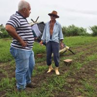O técnico Luiz Roberto Vieira visitando o produtor de coentro orgânico, Barbosinha (José Barbosa Irmão) - foto Jonathas Bruno (Gedea-Cohidro)