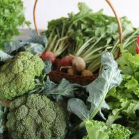 Produtos organicos produzidos pelos agricultores irrigantes do perimetro de Lagarto - foto Fernando Augusto (Ascom/Cohidro)