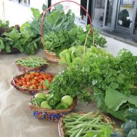 Produtos organicos produzidos pelos agricultores irrigantes do perimetro de Lagarto foram expostos no evento - foto Fernando Augusto (Ascom-Cohidro)