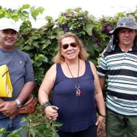 Técnico Beto, gerente Eliane Moraes e o produtor Sidrack - Foto: Andrea Santtos (Califórnia/Cohidro)
