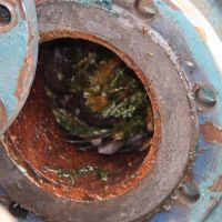 Acúmulo de matéria orgânica dentro das bombas impetem a operação - foto Fernando Augusto (Ascom-Cohidro)