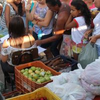 Alimentos são frescos, a maioria colhida no dia da entrega e por isso têm boa aceitação da população beneficiada
Foto Fernando Augusto (Ascom/Cohidro)