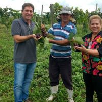 Diretor João, produtor Sidrack e a gerente Eliane no campo experimental de uvas - Foto Andrea Santtos (Cohidro-Califórnia)