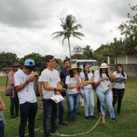 Foto: Michaelle Santiago