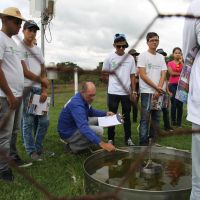 Foto: Michaelle Santiago