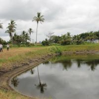 Foto: Michaelle Santiago