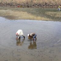 Os produtores rurais colaboram com a limpeza pelo benefício da continuidade da água de irrigação que recebem nos lotes - Foto Andrea Santos (Califórnia-Cohidro)