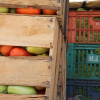 Os produtos são entregues, em média, a cada 15 dias devido a perecividade
Foto Fernando Augusto (Ascom/Cohidro)