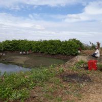 Produtores do Setor 03 trabalham na limpeza do reservatório da EB-03 - Foto Andrea Santos (Califórnia-Cohidro) (1)