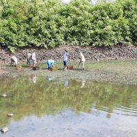 Produtores do Setor 03 trabalham na limpeza do reservatório da EB-03 - Foto Andrea Santos (Califórnia-Cohidro) (2)