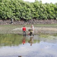 Produtores do Setor 03 trabalham na limpeza do reservatório da EB-03 - Foto Andrea Santos (Califórnia-Cohidro) (4)