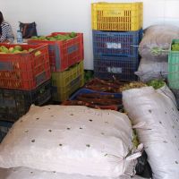 Produtos são entregues, pesados e anotados na associação dos produtores
Foto Fernando Augusto (Ascom/Cohidro)