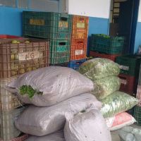 Tipos e quantidades de alimentos entregues são determinados a partir de uma dieta nutricional balanceada
Foto Edmilson Cordeiro (Califórnia Cohidro)