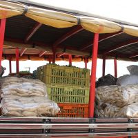 Variedade de alimentos incluídos nos projetos prioriza o fornecimento de uma dieta alimentar balanceada
Foto Fernando Augusto (Ascom/Cohidro)