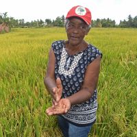 A produtora Maria Carlinda conta que a entrega de sementes de boa qualidade é um dos motivos para que a produção de arroz no Baixo São Francisco obtenha destaque / Foto: Marcelle Cristinne/ASN